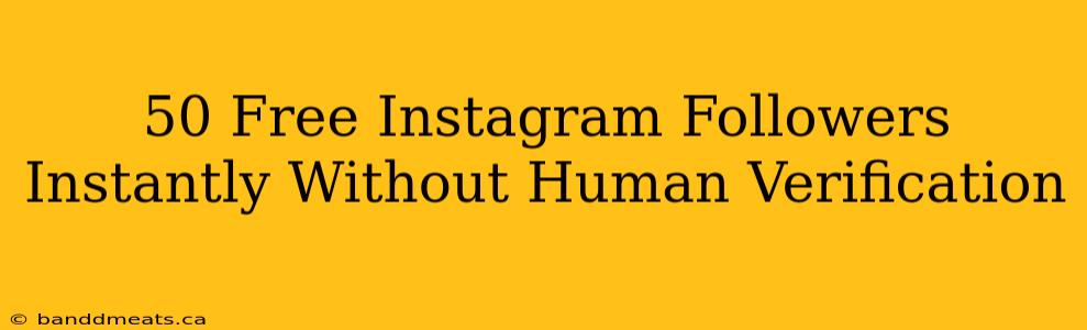 50 Free Instagram Followers Instantly Without Human Verification