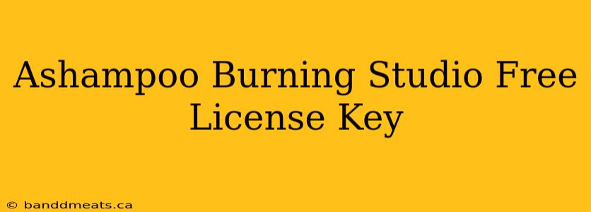 Ashampoo Burning Studio Free License Key