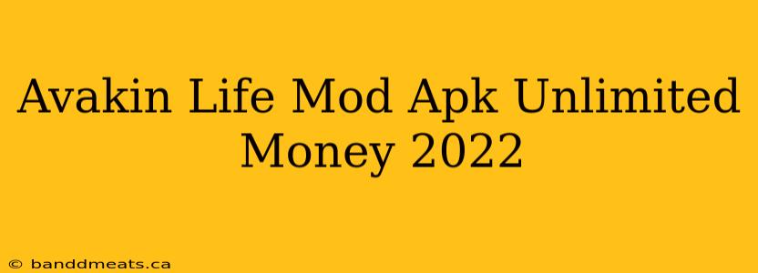 Avakin Life Mod Apk Unlimited Money 2022