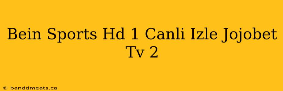 Bein Sports Hd 1 Canli Izle Jojobet Tv 2