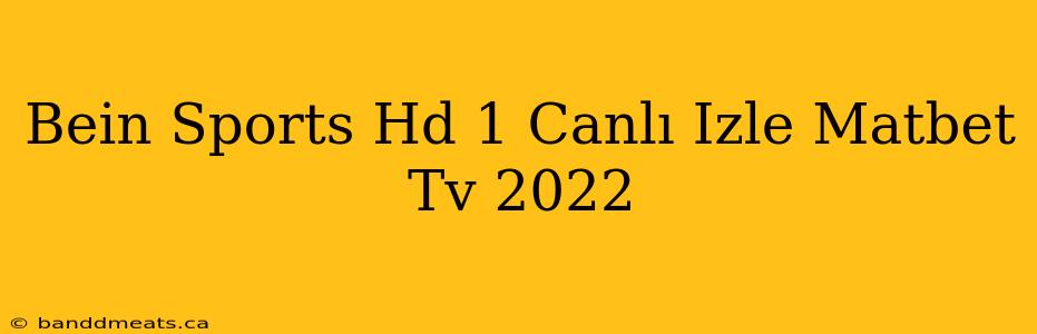 Bein Sports Hd 1 Canlı Izle Matbet Tv 2022