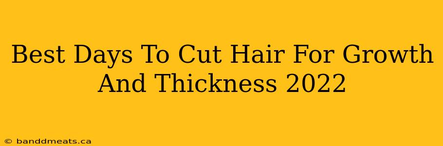 Best Days To Cut Hair For Growth And Thickness 2022