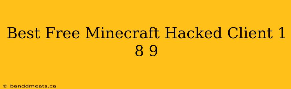 Best Free Minecraft Hacked Client 1 8 9