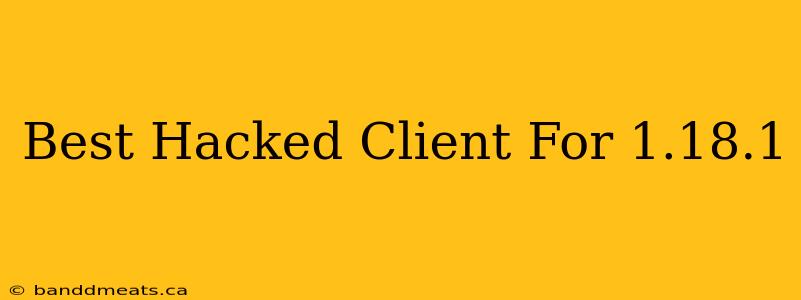 Best Hacked Client For 1.18.1