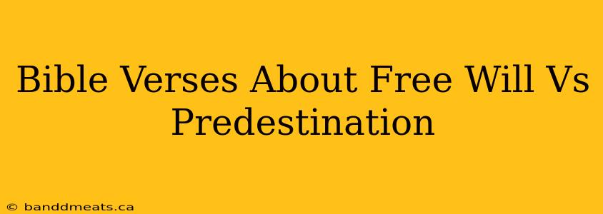 Bible Verses About Free Will Vs Predestination