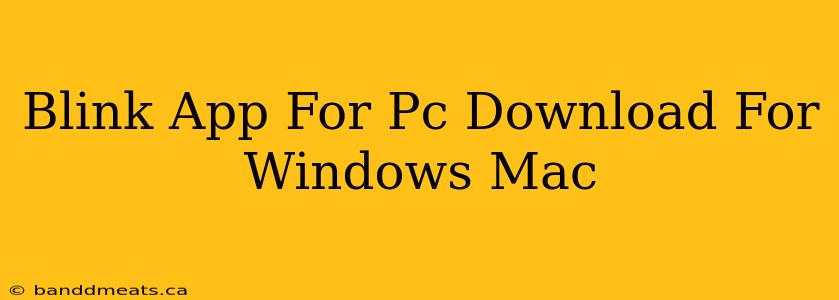 Blink App For Pc Download For Windows Mac