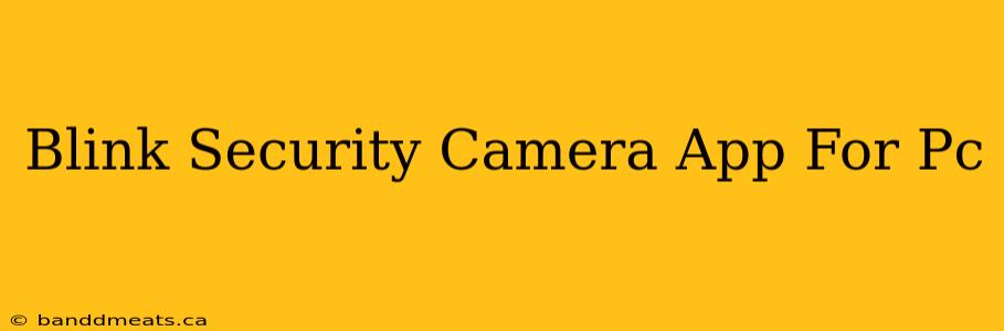 Blink Security Camera App For Pc