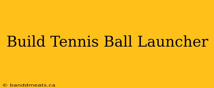 Build Tennis Ball Launcher