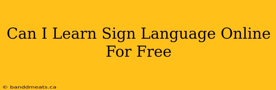 Can I Learn Sign Language Online For Free