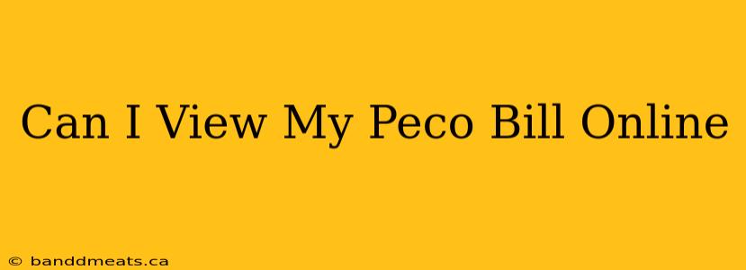 Can I View My Peco Bill Online