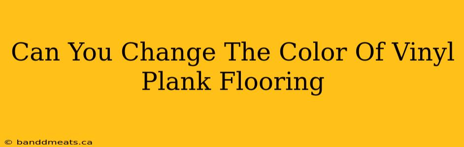 Can You Change The Color Of Vinyl Plank Flooring