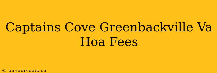 Captains Cove Greenbackville Va Hoa Fees