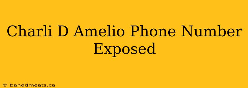 Charli D Amelio Phone Number Exposed