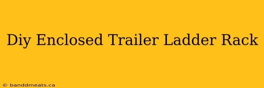 Diy Enclosed Trailer Ladder Rack