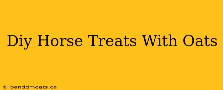 Diy Horse Treats With Oats