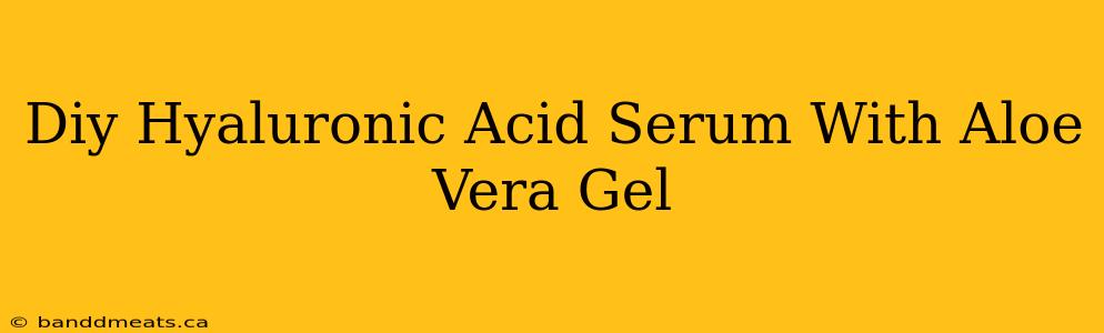 Diy Hyaluronic Acid Serum With Aloe Vera Gel