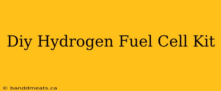 Diy Hydrogen Fuel Cell Kit