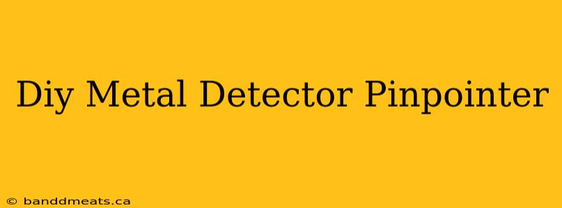 Diy Metal Detector Pinpointer