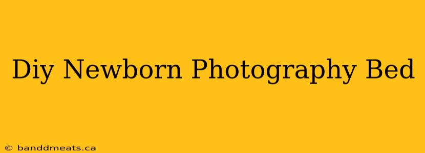 Diy Newborn Photography Bed