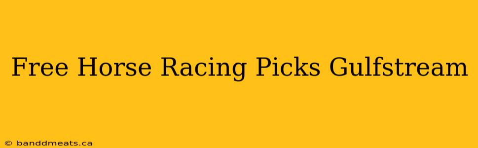 Free Horse Racing Picks Gulfstream