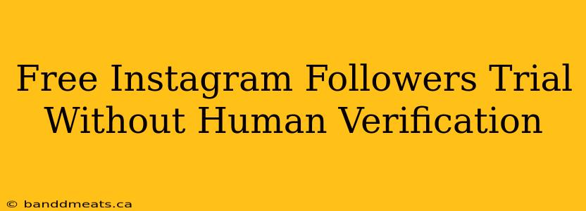 Free Instagram Followers Trial Without Human Verification