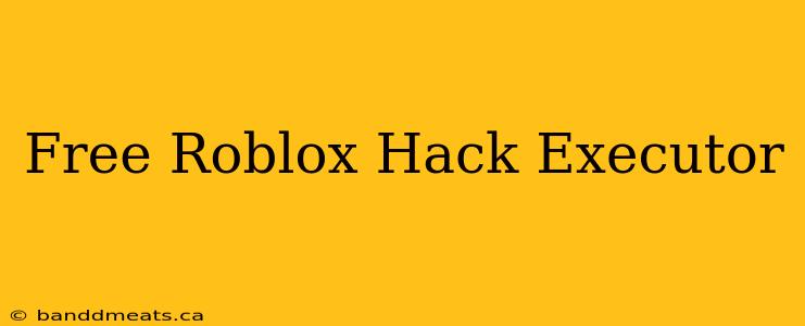 Free Roblox Hack Executor