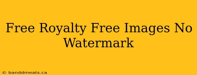 Free Royalty Free Images No Watermark