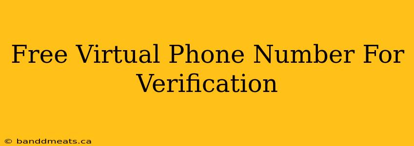 Free Virtual Phone Number For Verification