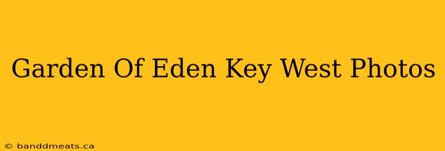 Garden Of Eden Key West Photos