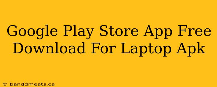 Google Play Store App Free Download For Laptop Apk