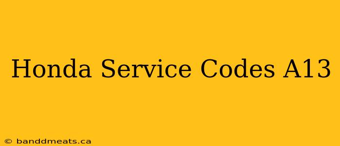 Honda Service Codes A13