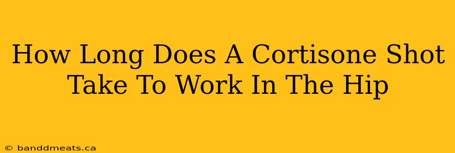 How Long Does A Cortisone Shot Take To Work In The Hip