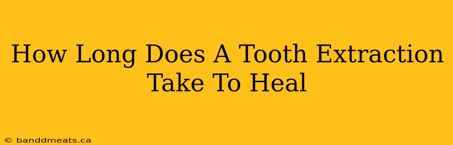 How Long Does A Tooth Extraction Take To Heal