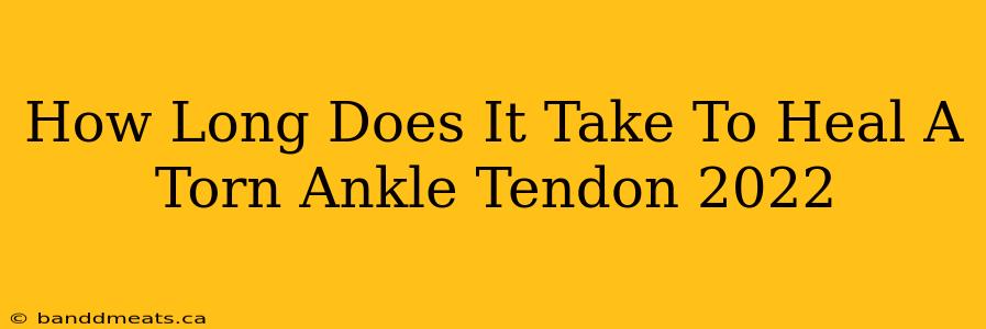 How Long Does It Take To Heal A Torn Ankle Tendon 2022