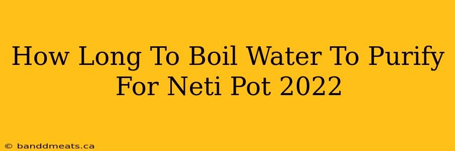 How Long To Boil Water To Purify For Neti Pot 2022