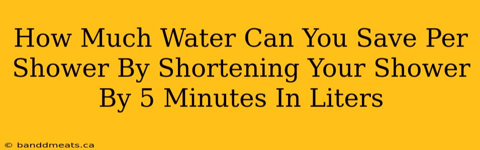 How Much Water Can You Save Per Shower By Shortening Your Shower By 5 Minutes In Liters