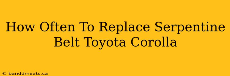 How Often To Replace Serpentine Belt Toyota Corolla