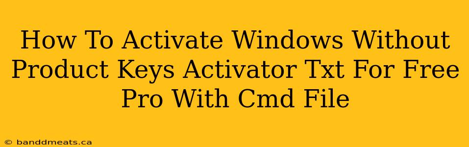 How To Activate Windows Without Product Keys Activator Txt For Free Pro With Cmd File