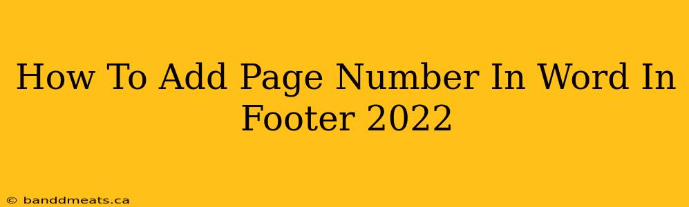 How To Add Page Number In Word In Footer 2022