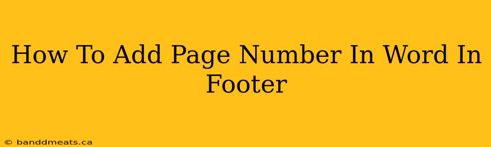 How To Add Page Number In Word In Footer