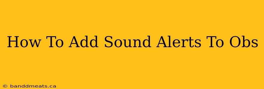 How To Add Sound Alerts To Obs