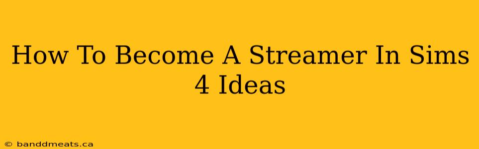 How To Become A Streamer In Sims 4 Ideas