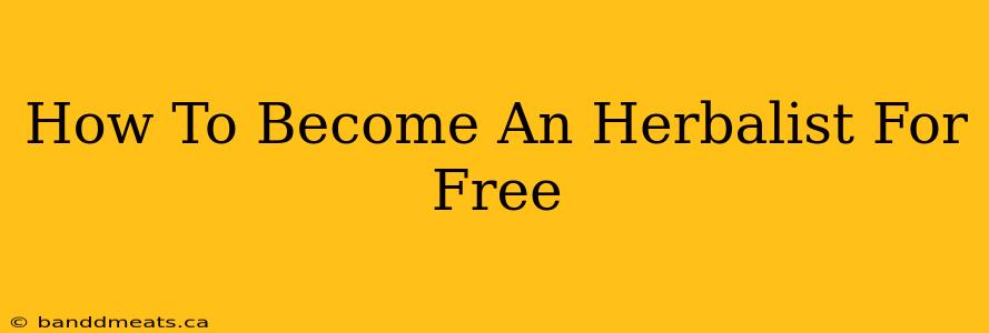 How To Become An Herbalist For Free