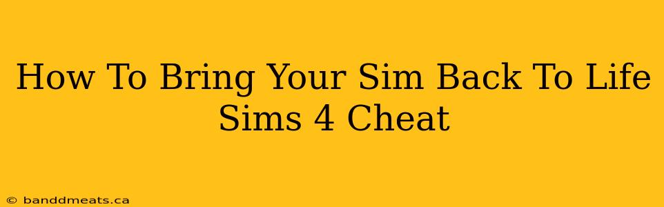 How To Bring Your Sim Back To Life Sims 4 Cheat