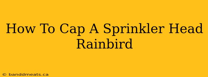 How To Cap A Sprinkler Head Rainbird