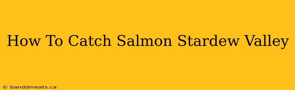 How To Catch Salmon Stardew Valley