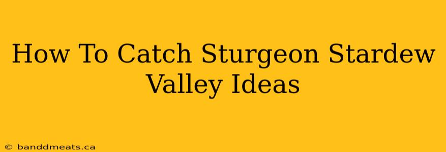 How To Catch Sturgeon Stardew Valley Ideas