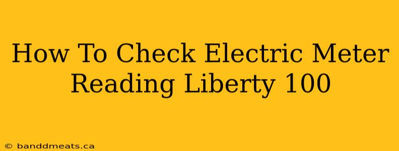 How To Check Electric Meter Reading Liberty 100