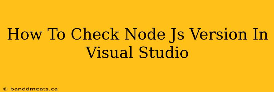 How To Check Node Js Version In Visual Studio