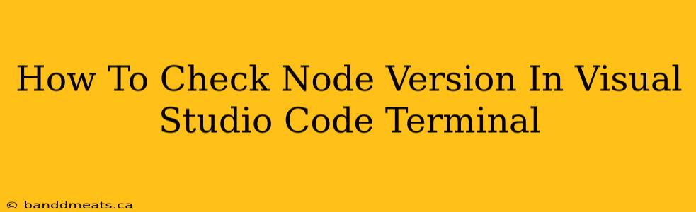 How To Check Node Version In Visual Studio Code Terminal